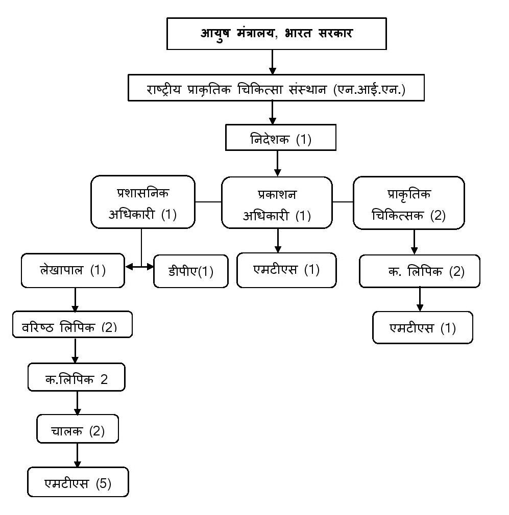 Organisation Chart Hindi